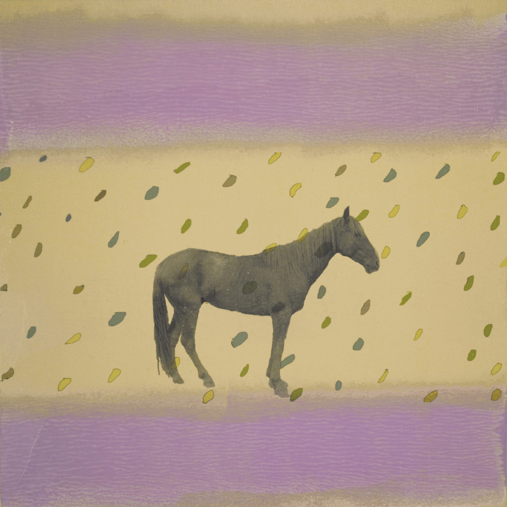 Holly Roberts: Horse with Rain and Purple