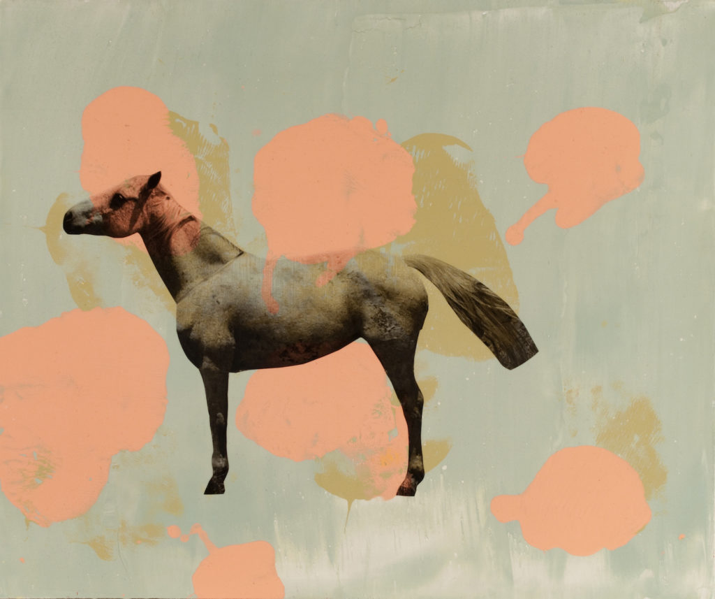 Holly Roberts: Horse with Spots