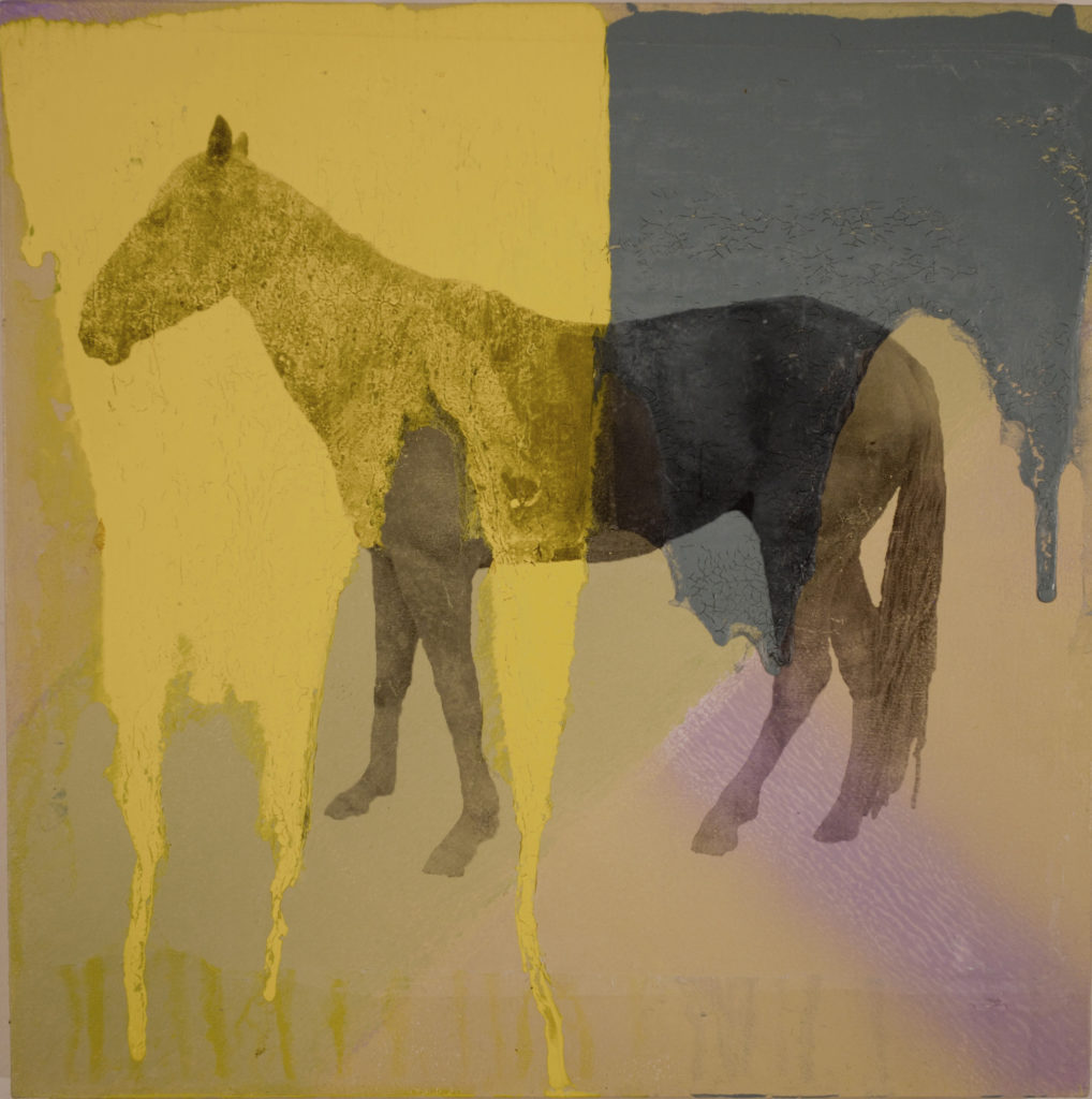 Holly Roberts: Horse with Yellow and Blue