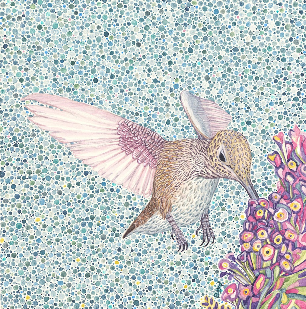 Judy Boyd: Hummingbird w/ Purple Flower