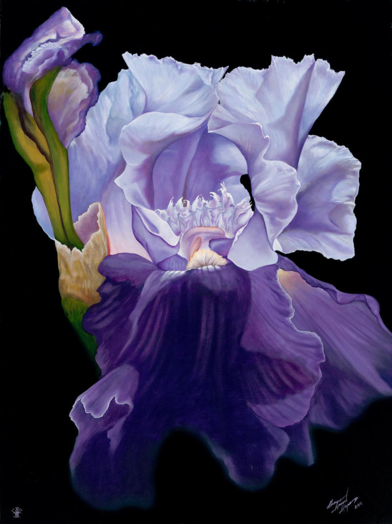 George H Hayes III: Iris Dancers