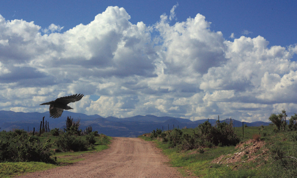 Joan Fenicle: Leaving La Bajada