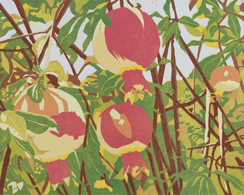 Jan Vanderburg: Pomegranates