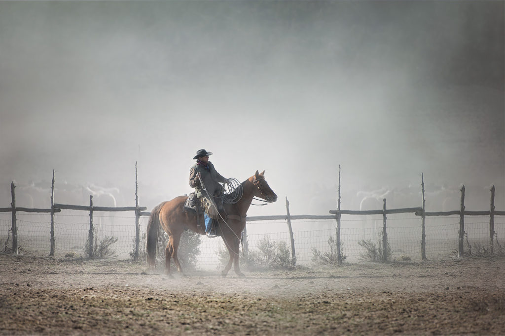 Sally Thomson: Through the Fog