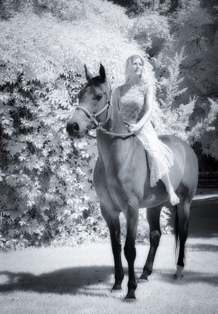 Cheryl Cathcart: Upon A Fine Horse