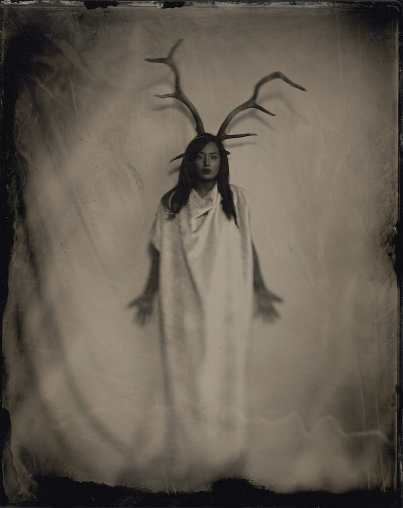 Kevin Black: Animal Spirit