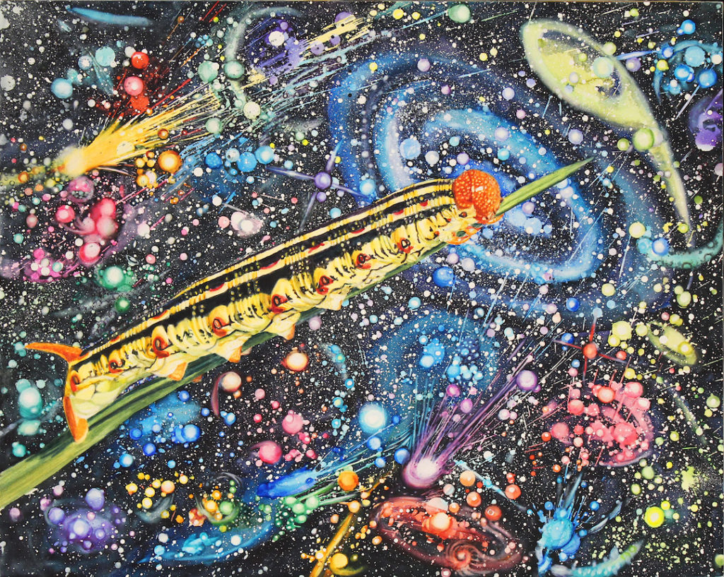 Susan Weeks: Caterpillar in Space