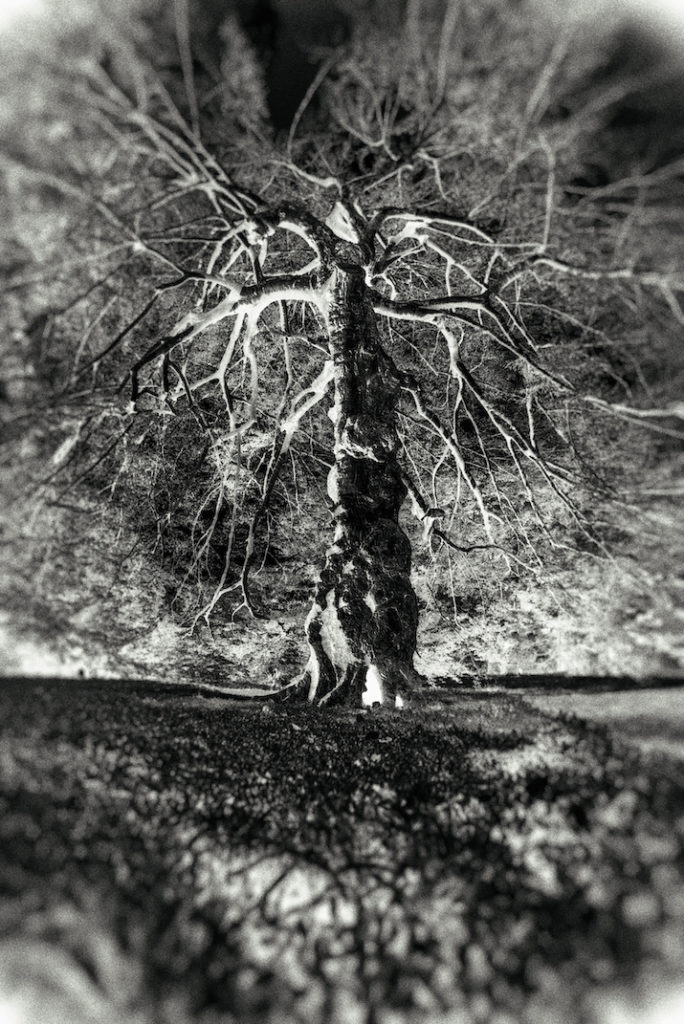 Max Woltman: Hallow’s Eve