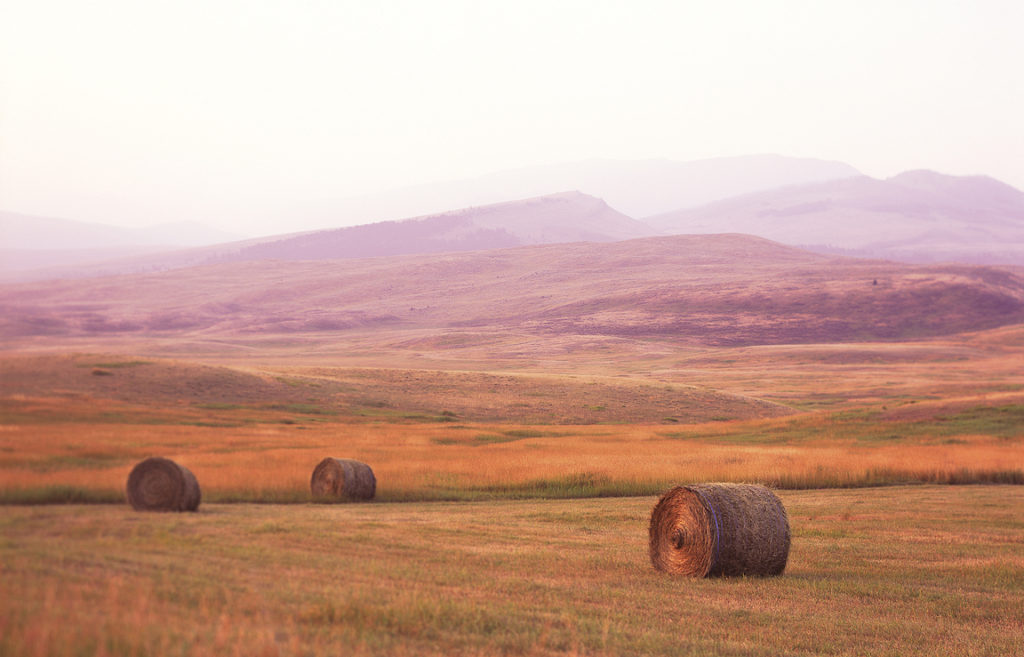 Kevin Black: Hay Bales