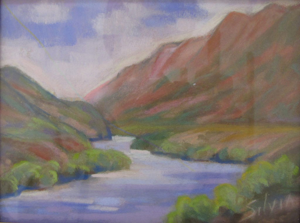 Nancy Silvia: Rio Grande Springtime