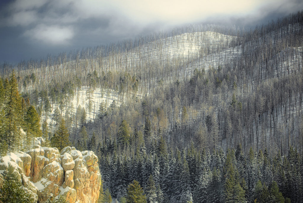 Kevin Black: Snow Squall, Near Los Alamos