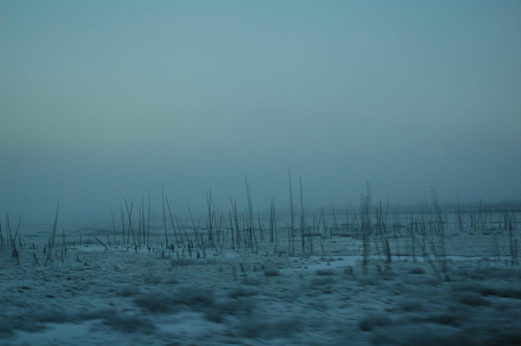 Max Woltman: Solstice