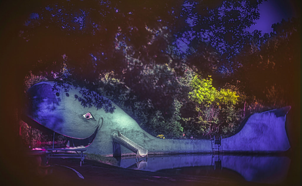 Kevin Black: Tulsa Blue Whale