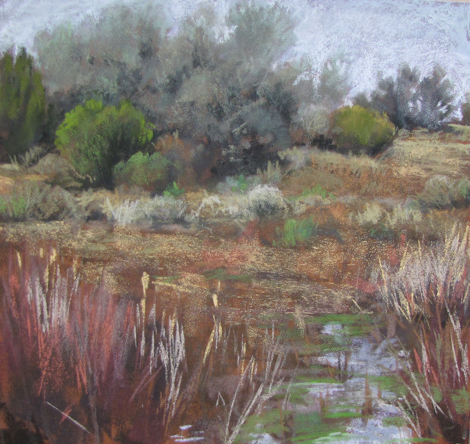Nancy Silvia: Wetlands Springtime