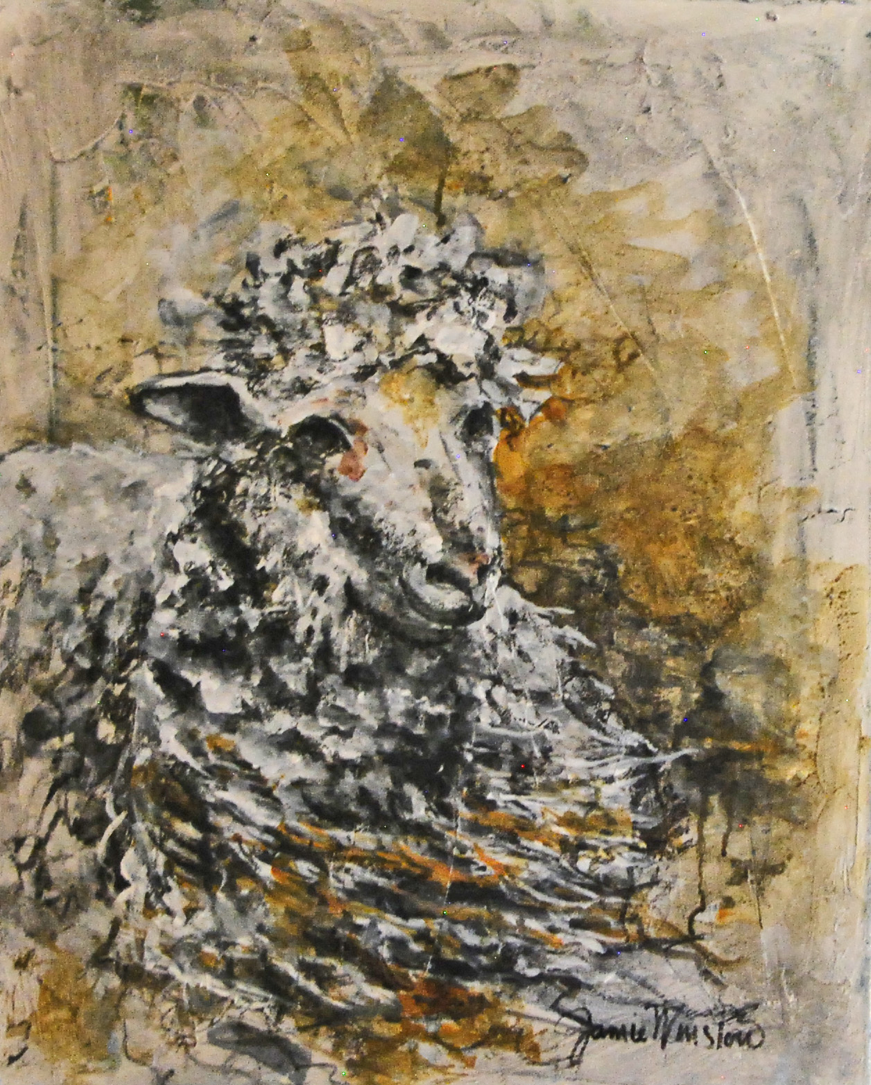Jamie Winslow: Churro Lamb