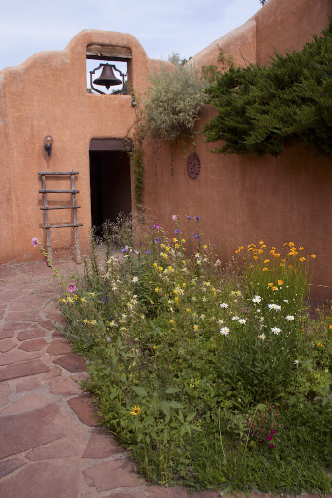 Jeri Burzin: Ghost Ranch HQ