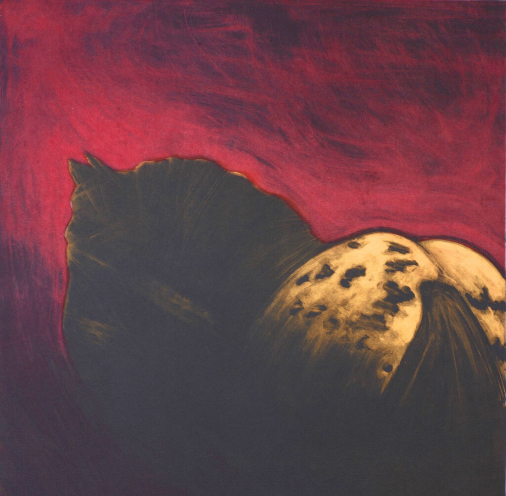 Phil Garrett: Horse for Rosa B. II