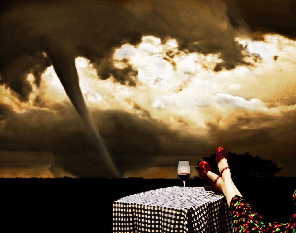 Amy M. Ditto: Meanwhile, Back in Kansas