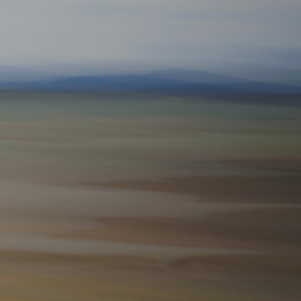Dana Patterson Roth: Abstract #12