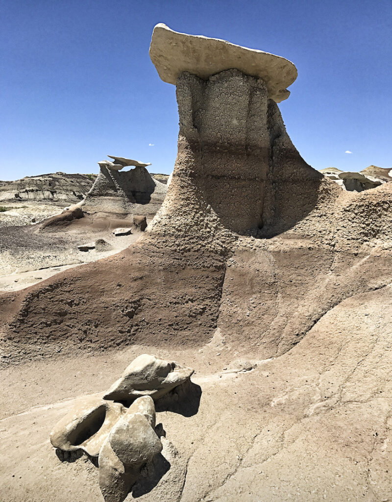 Carl Bogenholm: Beasty Bisti