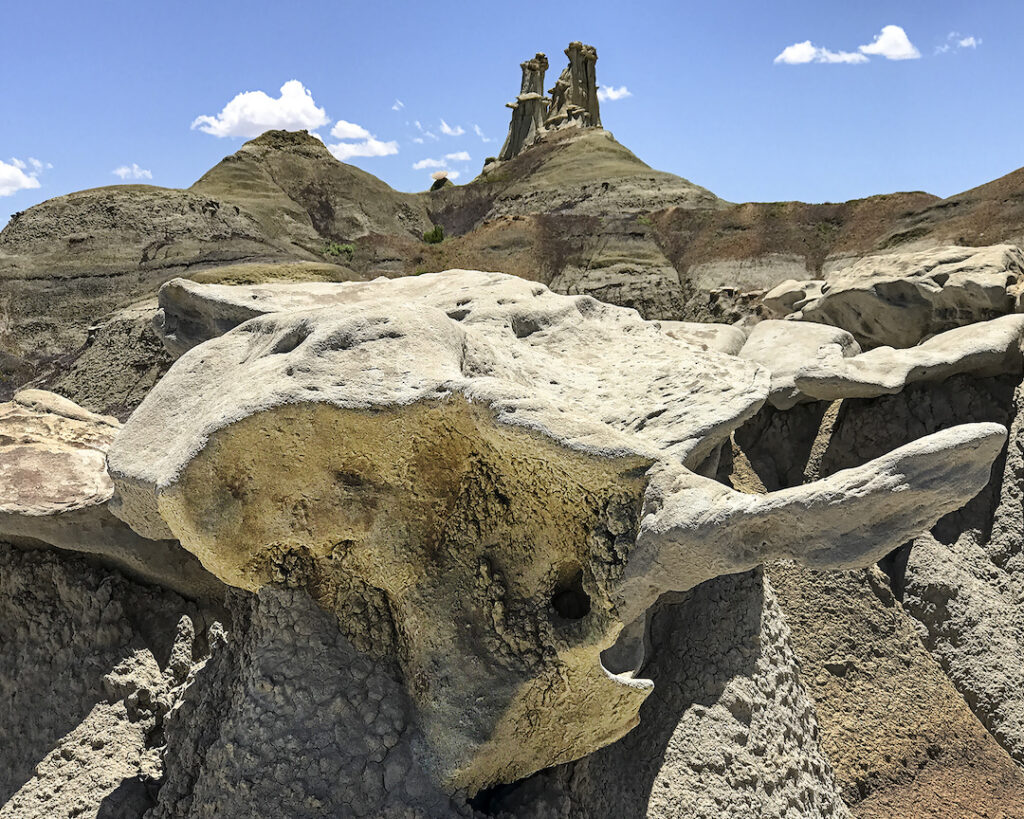 Carl Bogenholm: Bisti Vertabrae