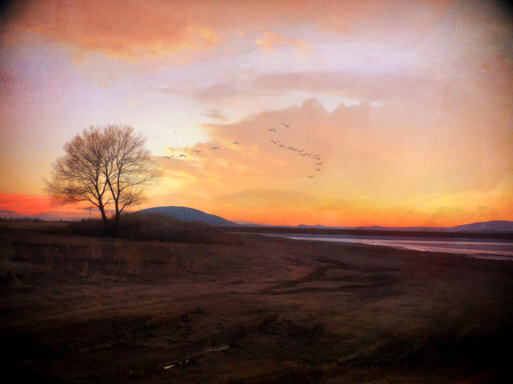 Carol Morgan-Eagle: Dusk at Ute Mountain