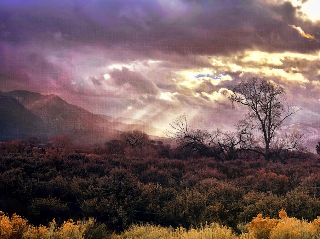 Carol Morgan-Eagle: High Desert Light