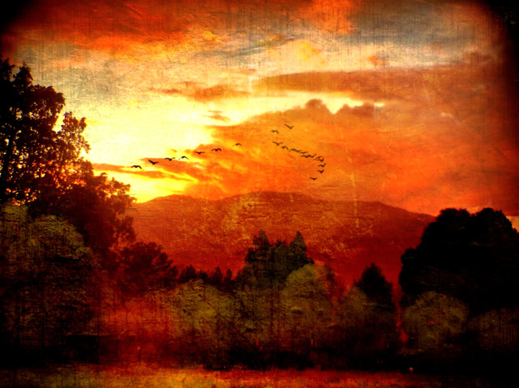 Carol Morgan-Eagle: Into The Mysterium