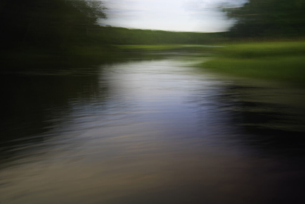 Dana Patterson Roth: Swimming the River