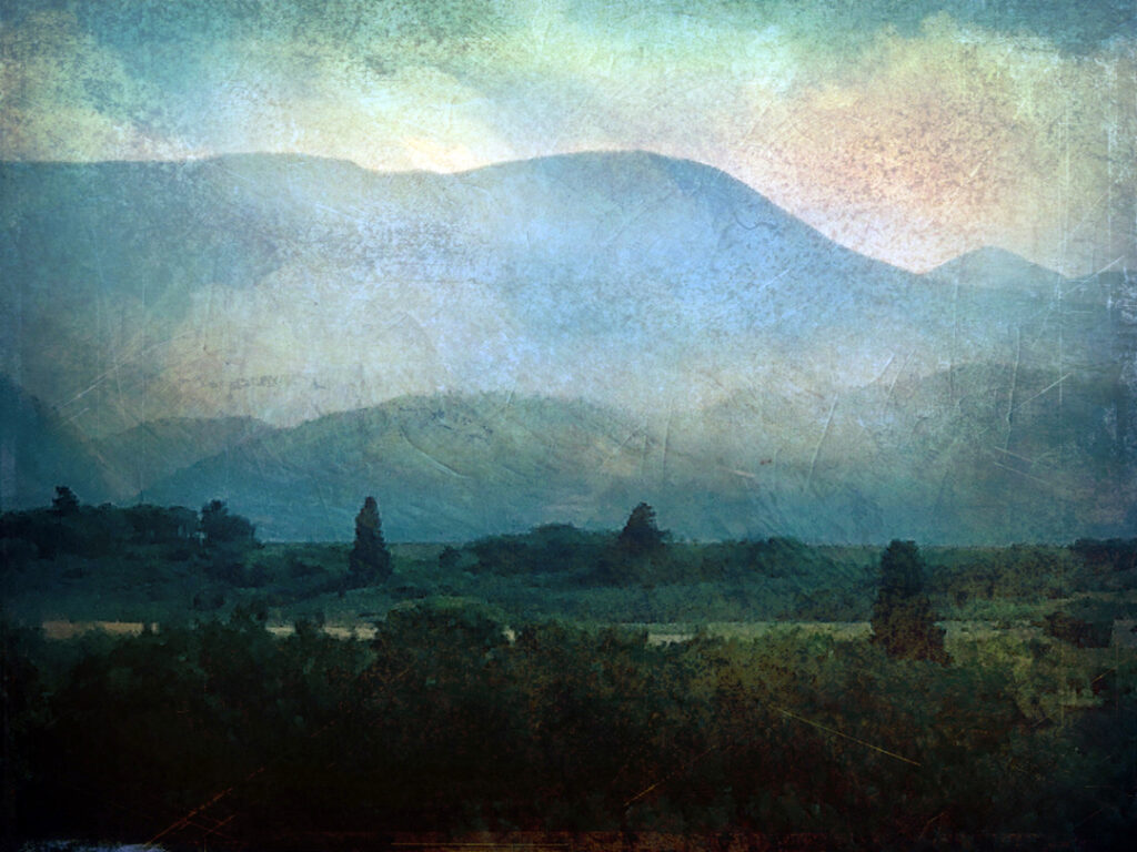 Carol Morgan-Eagle: The Watchers