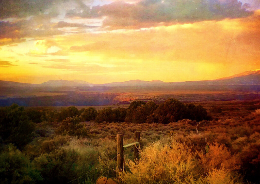 Carol Morgan-Eagle: View To The West