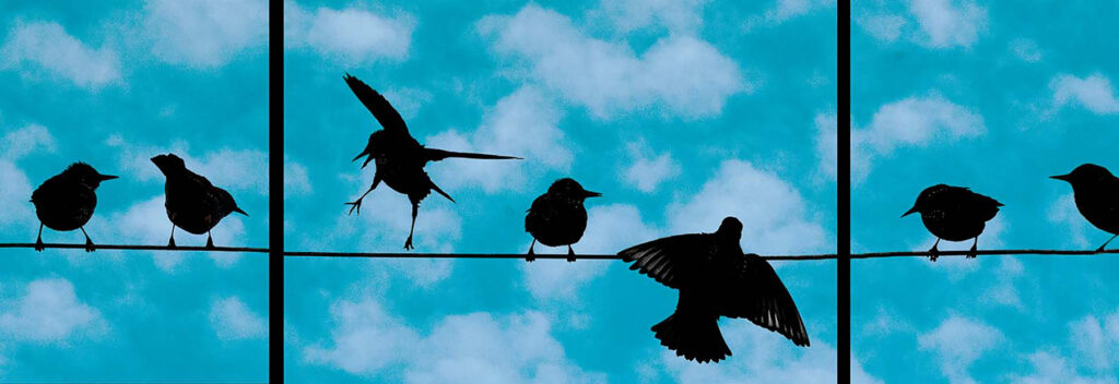Andrea J. Sharon: Avian Antics Triptych