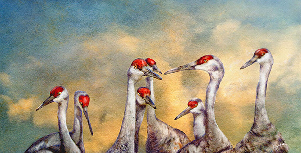 Lyndia Radice: Crane Conference