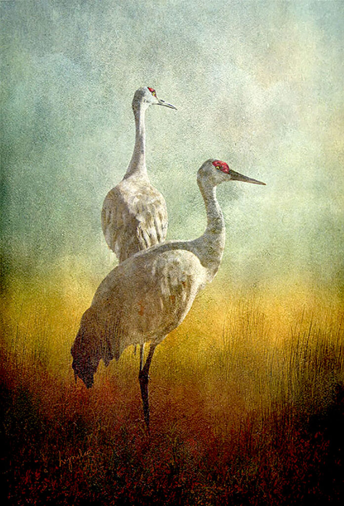 Lyndia Radice: Crane Duet