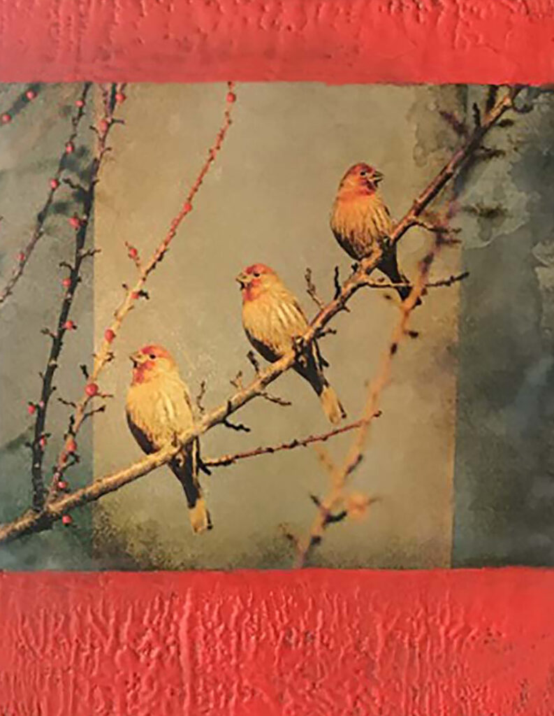 Andrea J. Sharon: Finch Trio
