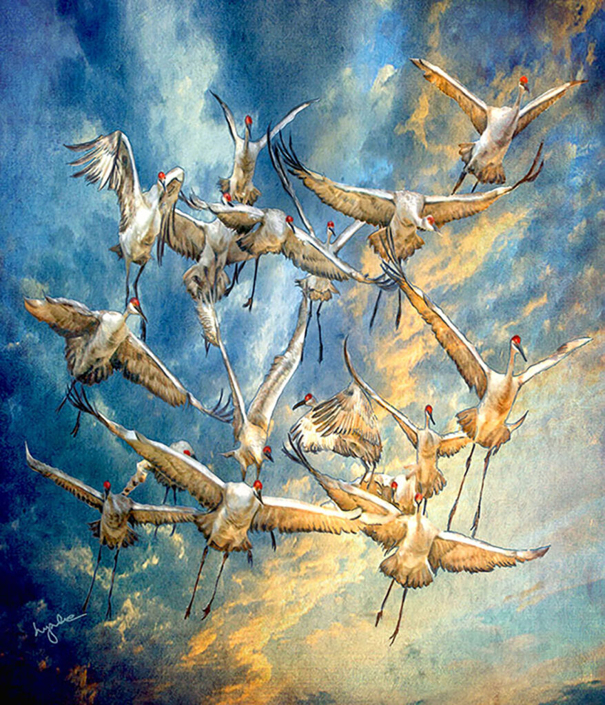 Lyndia Radice: Flying