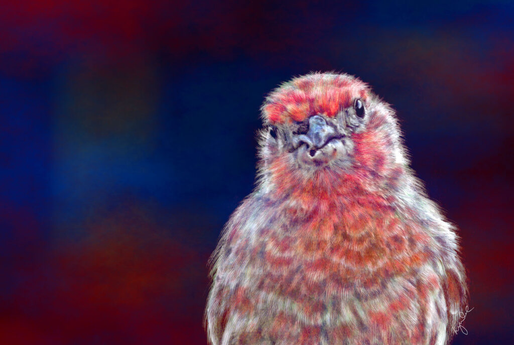 Lyndia Radice: Happy Finch