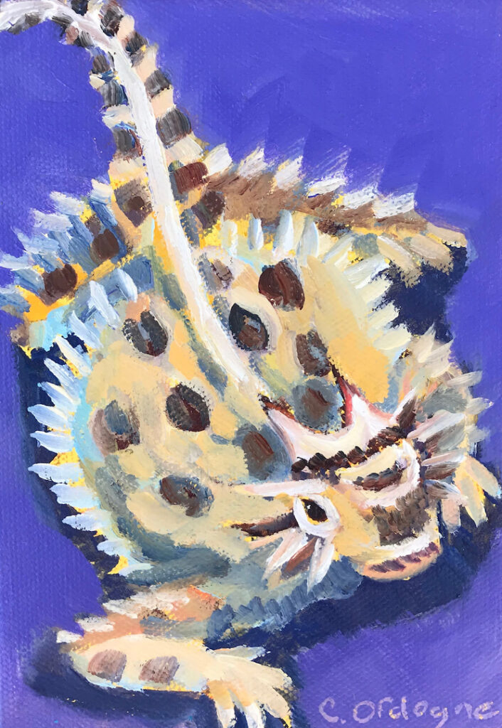 Carol Ordogne: Horney Toad