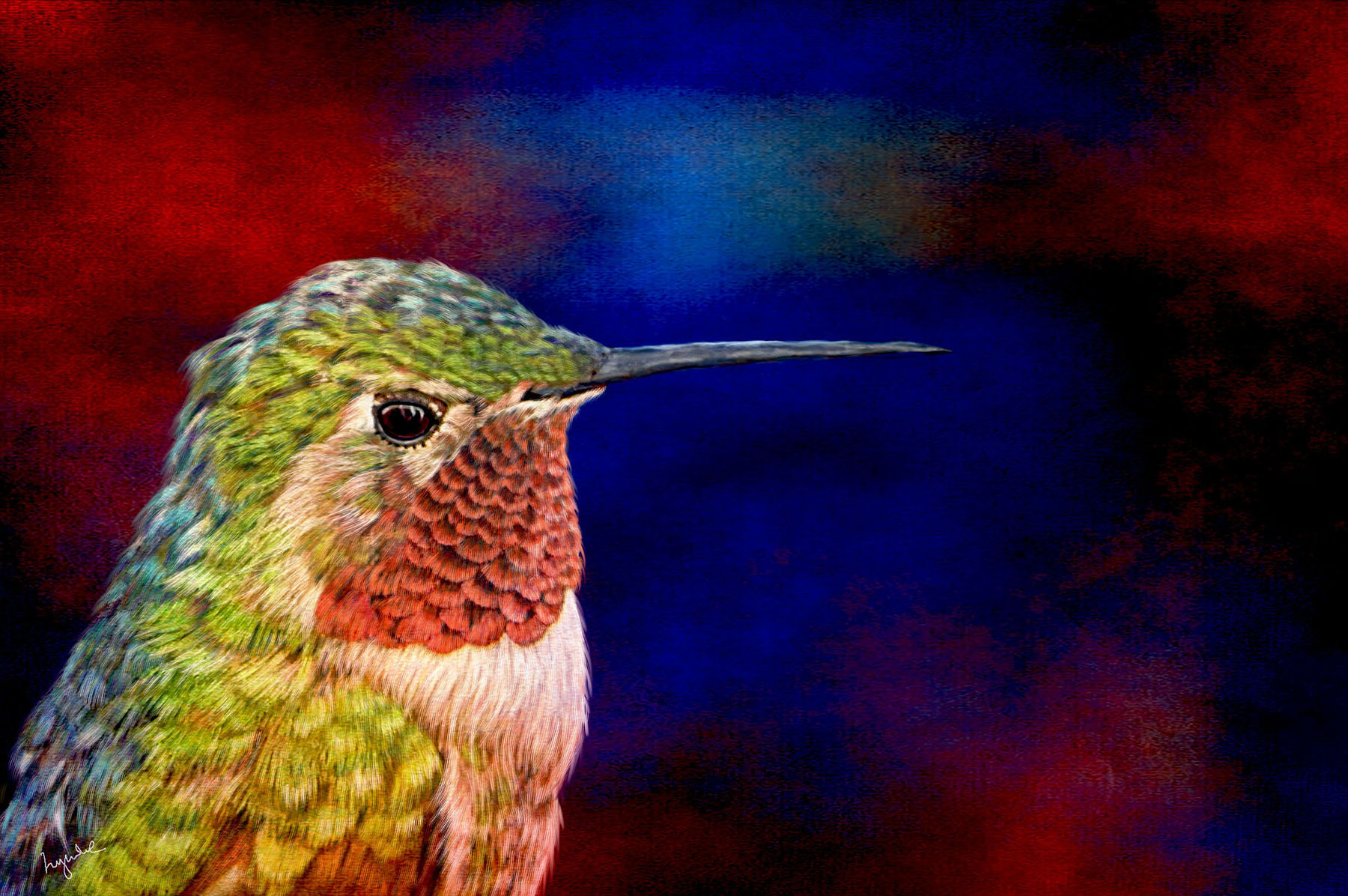 Lyndia Radice: Hummingbird