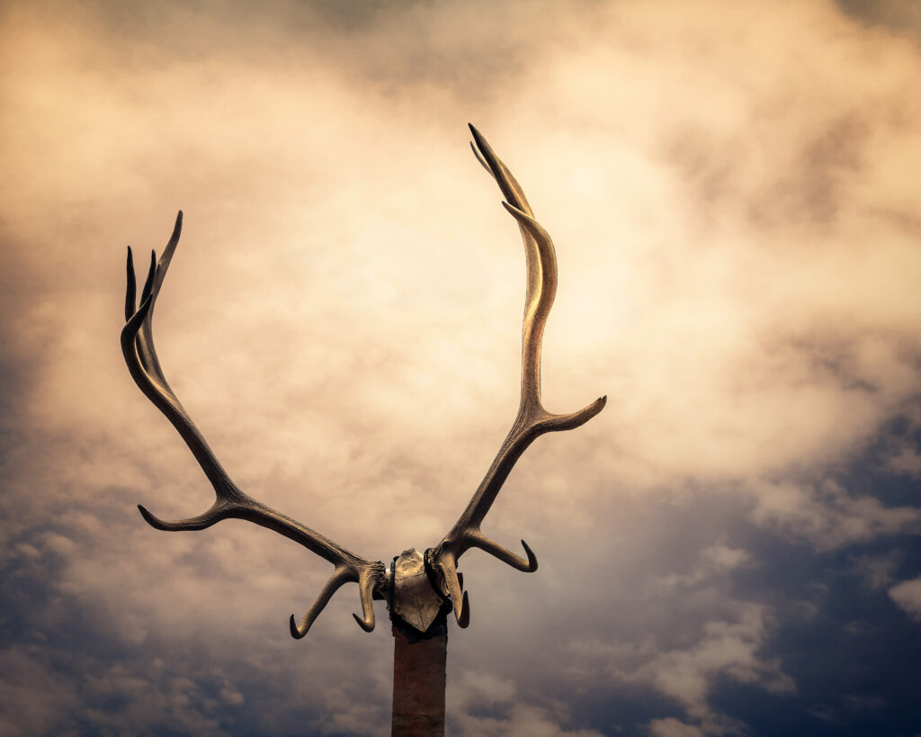 Gale Sutton: Out West