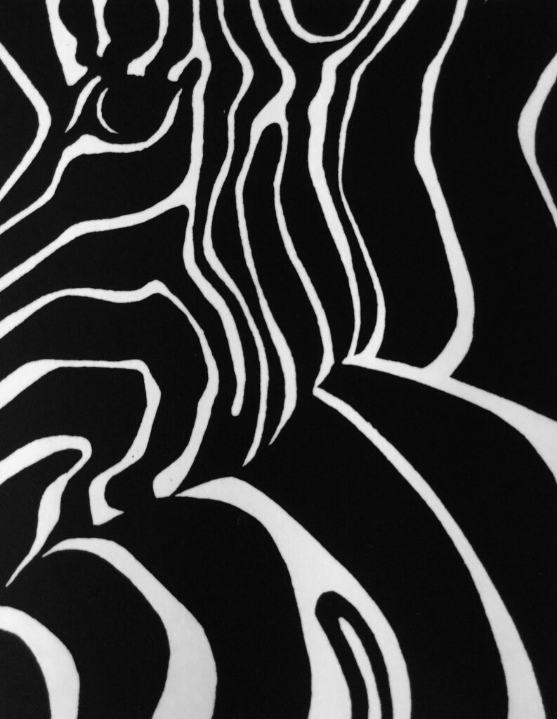 Marcia Rackstraw: Zebra Study #2