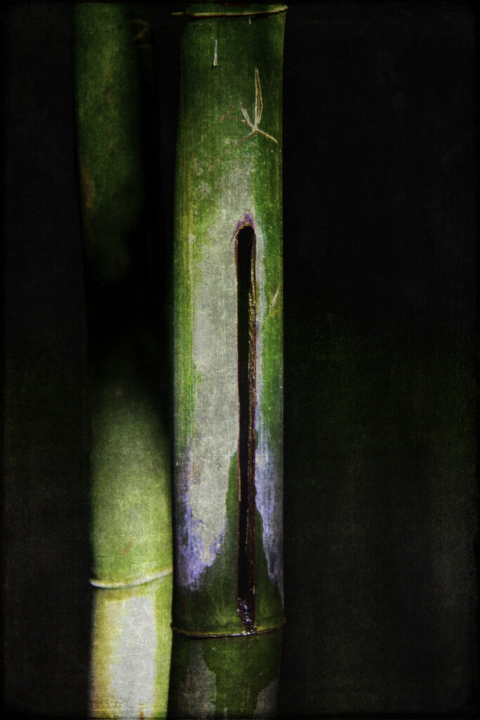 Gale Sutton: Rainforest Flute