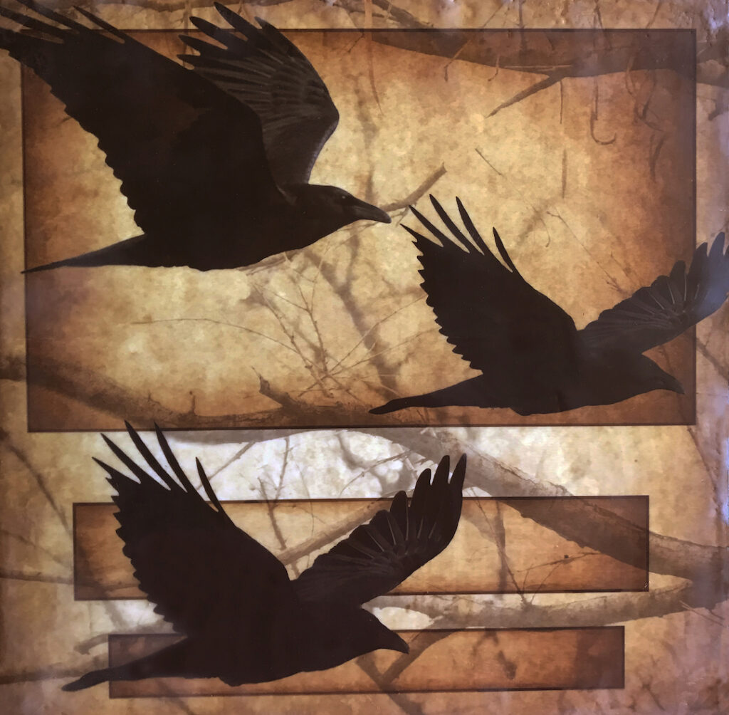 Andrea Sharon: Raven Trio - Photo Encaustic &amp; Pigments, $425, 13 x 13&quot; (framed), 2016