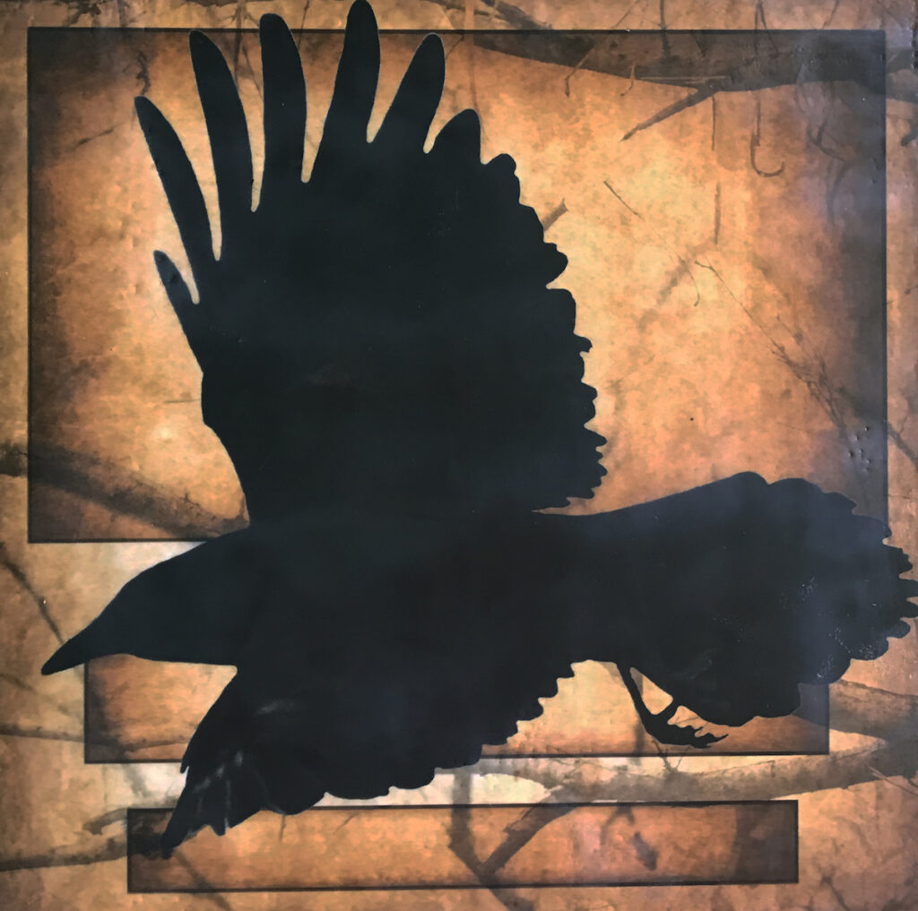 Andrea J. Sharon: Raven in Flight