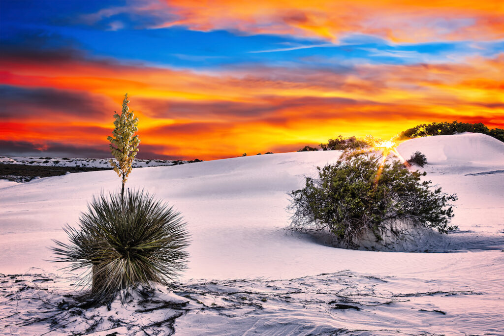Mike Stephens: Sentinel in the Dunes
