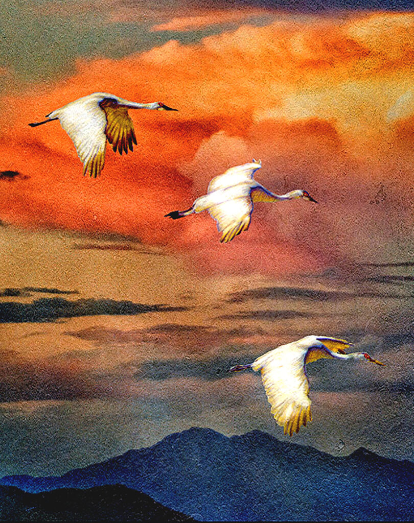 Lyndia Radice: Sun and Cranes Trio