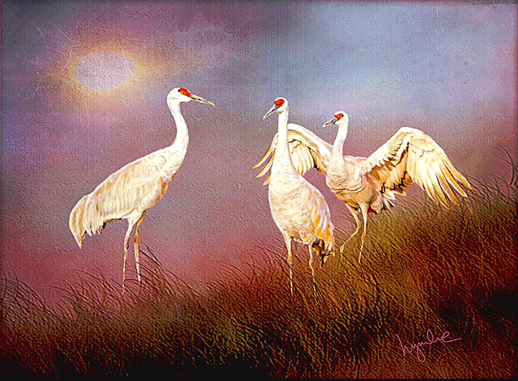 Lyndia Radice: Sun and Cranes