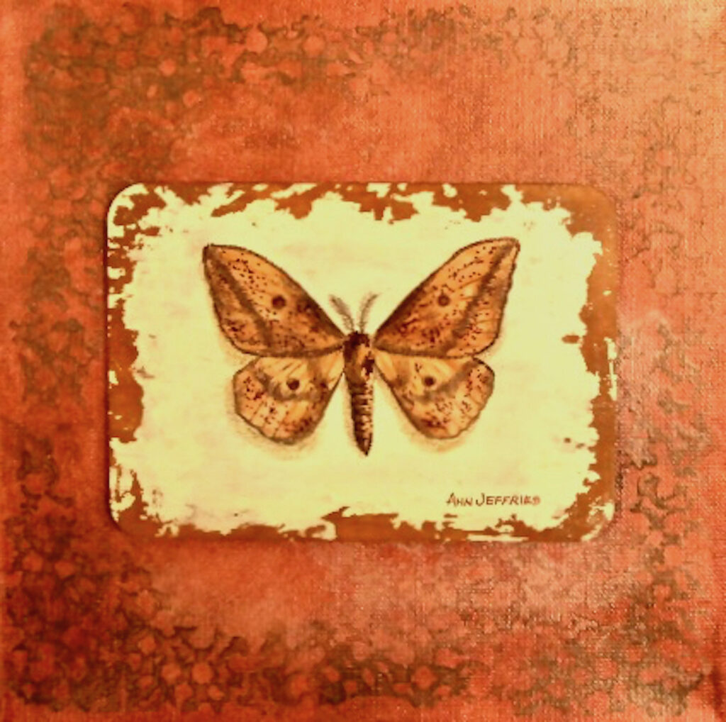 Ann Jeffries: Butterfly #13