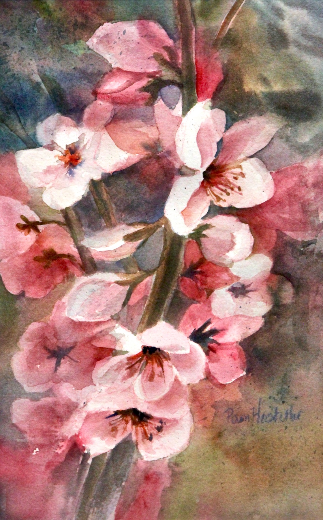 Pam Hostetler: Cherry Blossoms