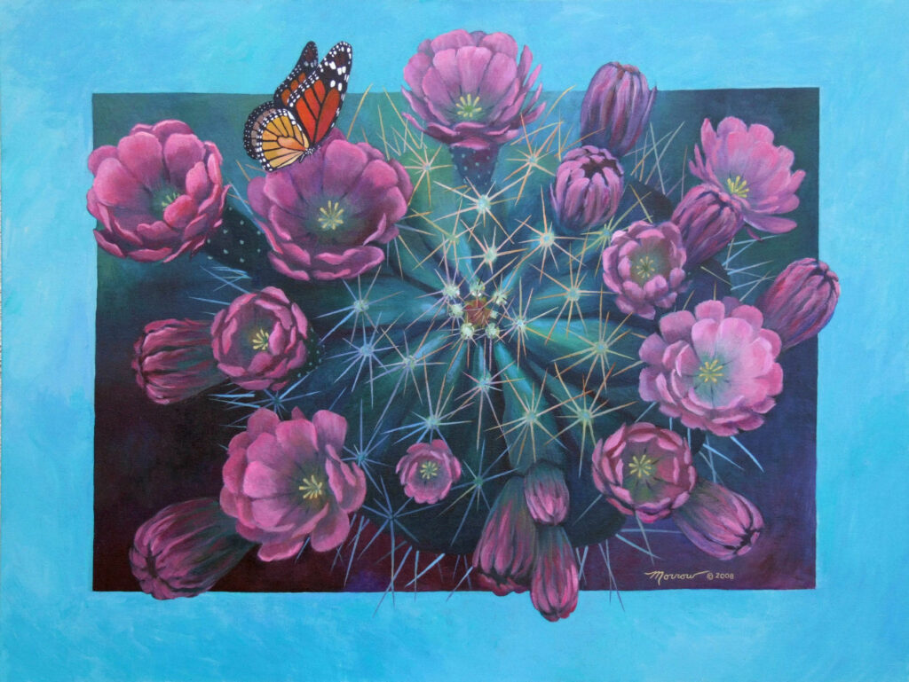 Kathy Morrow: Desert Snowflake